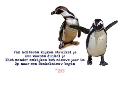 versjevanVERS!_nieuwjaar_pinguins! Voorkant